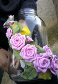 pote rosas
